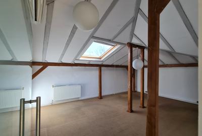 Vila Kiseleff - sediu ambasada, sediu reprezentativ - 16