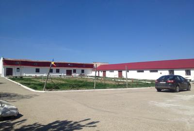 Ovidiu- teren intravilan cu constructii/ 4500mp /posibilitate parcelare - 2