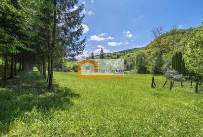 Oportunitate, Restaurant cu MiniPensiune 800mp, 1,8ha teren, Via Transilvanica - 59