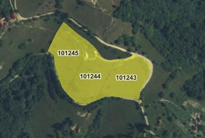 Refugiu de poveste în inima naturii | 12.000 mp în Holbav | Proiect început - 19