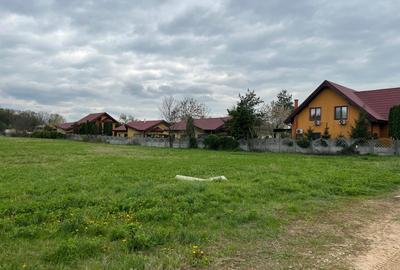 Teren Construcții intravilan de 1500 mp, în Ciolpani