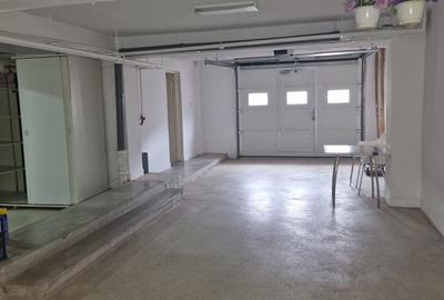 Coiciu, o vila construita pe cadre de beton, bine compartimentata. - 13