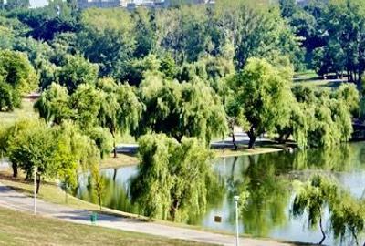 Teren 680 mp langa parcul Tineretului - 5