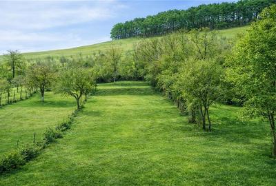 Rezidenta renovata+edificiu +1.500mp teren,Sanpetru,Brasov - 1
