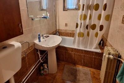 Apartament Central in spatele magazinului Bucovina - 3