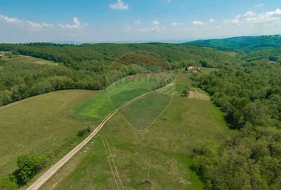 De vânzare casă cu teren și pădure 55706 mp - Șinteu, Valea Târnei - 18