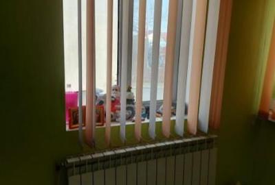 Teren 733 MP + Casa (P+1) + AFACERE LA CHEIE - 2