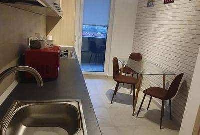 Studiou Aviatiei Apartments/Metrou Aurel Vlaicu - 3