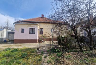 Situata pe frumoasa strada Maslinului in zona Blascovici, - 9