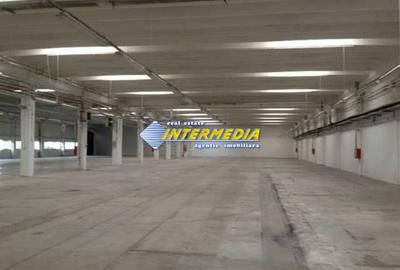 Hala de inchiriat in Alba Iulia in suprafata de 2800 mp cu toate utilitatile - 8