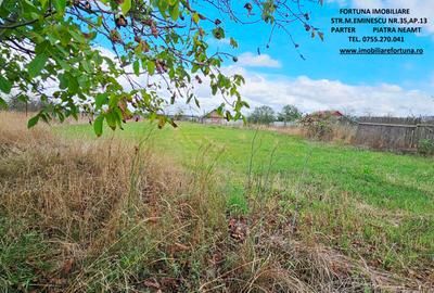 Proprietate Roznov,casa+anexe+teren 3630 mp - 12