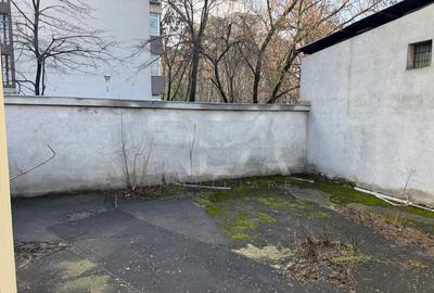 Spatiu comercial Bdul Timisoara 250mp - 4