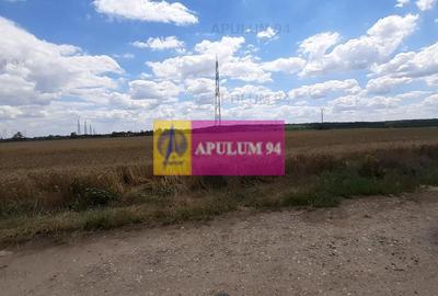 Teren 715mp în Snagov lângă Equestria - 8