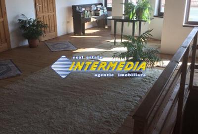 Casa Noua de vanzare P+E+M cu 3000 mp teren in Zona Ciugud - 3