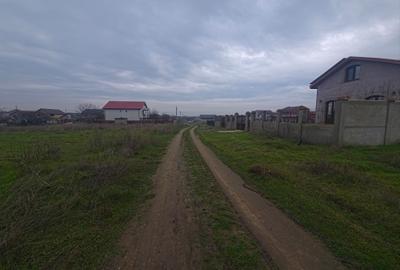 Teren intravilan 509 mp Techirghiol - 6