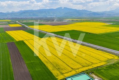 Teren 10.600 mp în Codlea – ideal pentru investiție industrială - 13