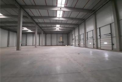 Spatiu Industrial - 3000 mp - Logistica - Productie - Depozitare - Distributie - 7