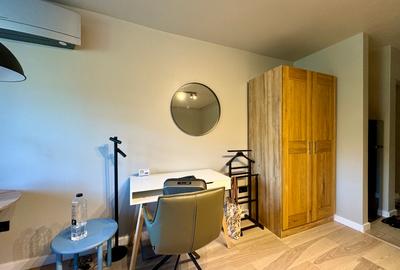 Apartament 1 camera Cornisa UMF Dr. Gheorghe Marinescu - 9