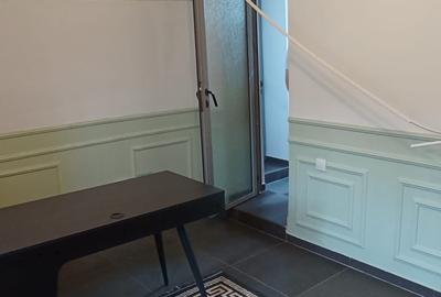 Spatiu birou elegant  Demisol Inalt vila  zona Alba Iulia rond - 4