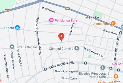 Proprietar, vând teren intravilan în MEHALA, 1001 mp, str. MOISE DOBOȘAN - 1