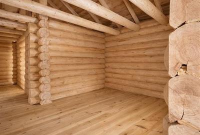 3.000mp de incantare montana cu cabana din lemn masiv, Zarnesti Tohanita - 7