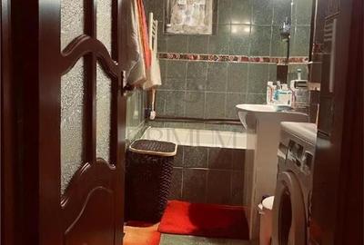 Apartament 1 camera-Centrala-Buziasului-Acoperis - 5