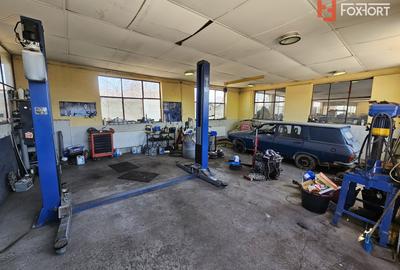 Oportunitate afacere: Spatiu industrial + Casa de locuit - Bogdanestilor - 25