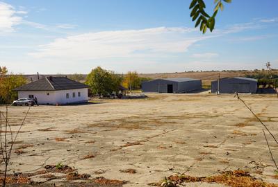 Spatiu industrial -  depozitare hale Baza Receptie Ghimpati Giurgiu - 1