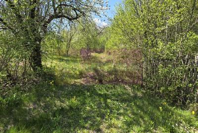 Teren cu Casuta de lemn in Sotrile (langă Valea Doftanei) - 18