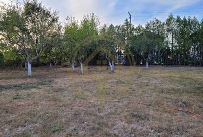 DOM00438 - De vanzare teren intravilan 1000 mp. Corbeanca - 8