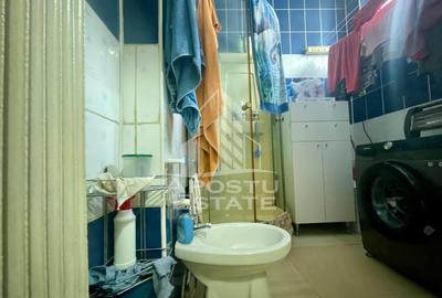 Casa individuala cu spatii comerciale - Zona Parneava spre Alfa - 26