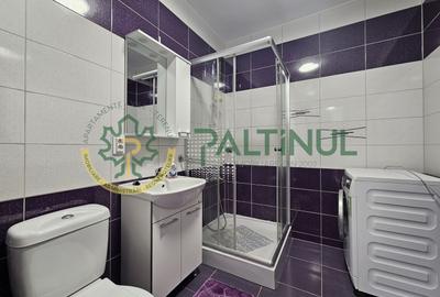 Apartament 2 camere de inchiriat zona Brana, Sibiu - 16