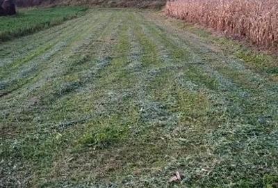 Teren intravilan 708 mp | Tăuți – la 12 km de Alba Iulia | - 1