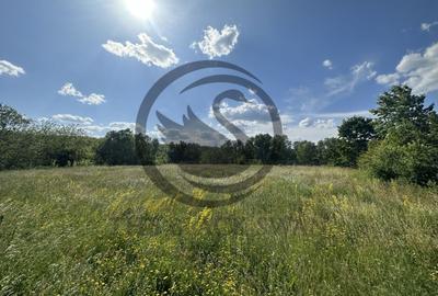 Teren Vanzare 11.000 MP Ghirdoveni | Comision 0% - 12