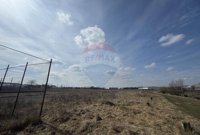 Teren 2,900mp Scheia / Strada Humorului - 3