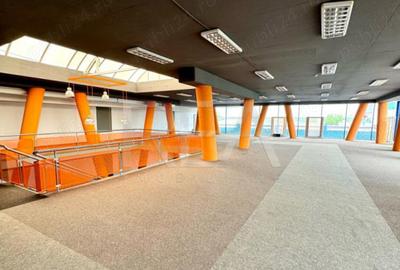 Spatiu pretabil Showroom | Stradal | Centura Otopeni - 11