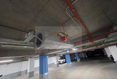 Spațiu de închiriat 230 mp + terasă – Str. 23 August  – ideal clinică / birouri - 12