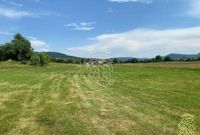 Teren 7200 mp-parcelabil-investitie-Sieu Magherus la 16 km de Bistrita - 3