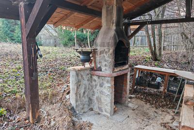 Casa 4 camere libera la vanzare, pozitie deosebita VULCAN - 33