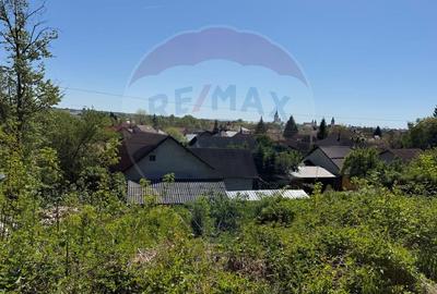 STRADA GRIVITEI Baia Mare, teren intravilan ideal pentru casa ta - 6