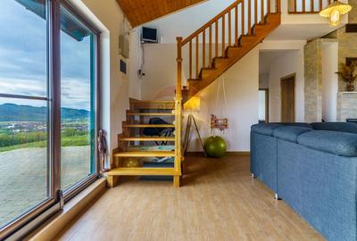 Teren 9.42 ha extravilan + casa 230 mp, COMISION 0% - 20