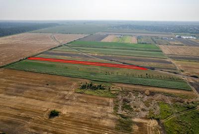 Teren 4.271 mp de vanzare  în Vladimirescu - 2