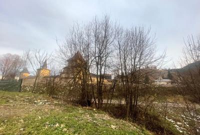 TEREN INTRAVILAN 2,26 HA | SUCEVITA | - 9