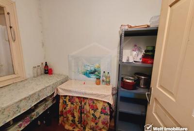 Casa tip duplex cu gradina si anexe, teren, 800 mp, Belis - 10
