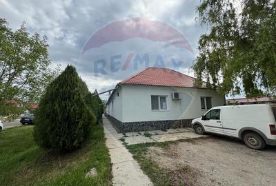 Sântana, Județul Arad