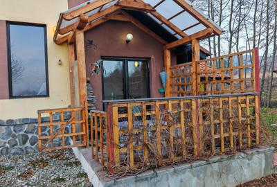 Casa 4 camere libera la vanzare, pozitie deosebita VULCAN - 29
