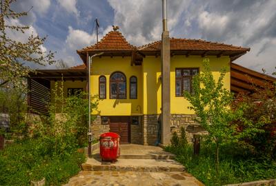 Provita de Sus, Prahova, Casa renovata, Comision 0 % - 6