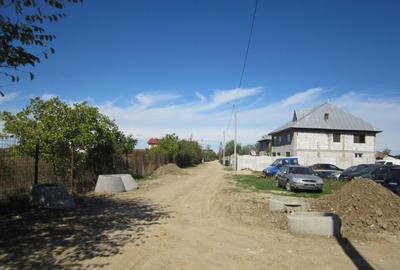 Domnesti Teghes-Padurarului - 1