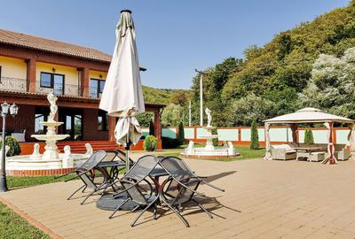 Proprietate Deosebita - Liziera Padurii - 10