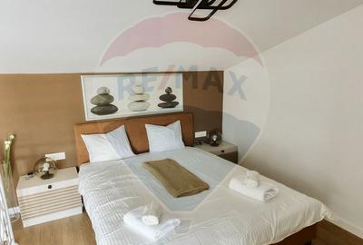 Apartament duplex 2 camere, zona centrala a capitalei - 11